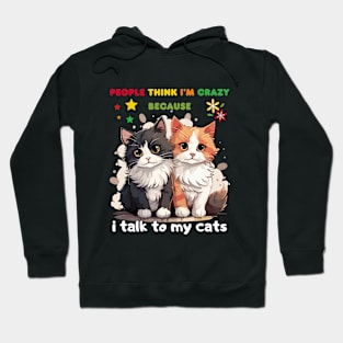 Funny People think I'm crazy because I talk to my cats Hoodie